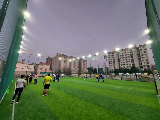 Turf photo 2