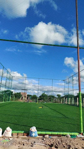 Turf photo 4