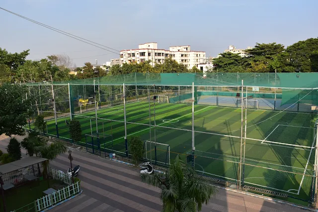Turf photo 6