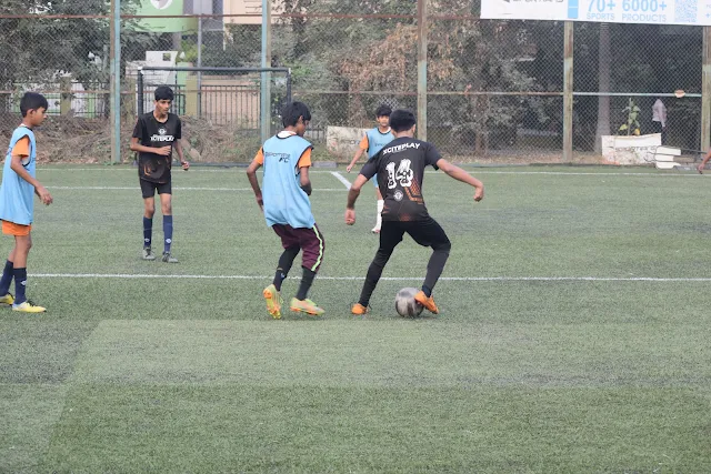 Turf photo 9