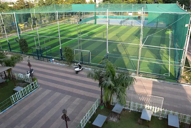 Turf photo 2