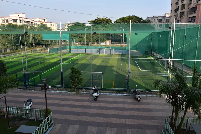 Turf photo 5