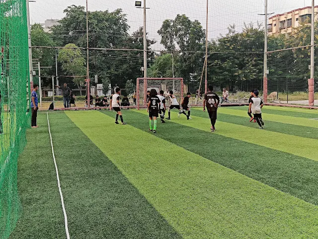Turf photo 3