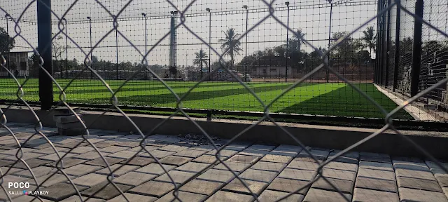 Turf photo 3
