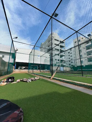 Turf photo 5