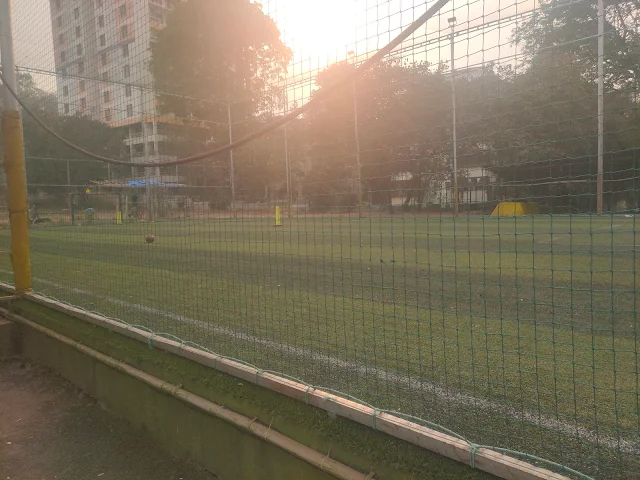 Turf photo 3