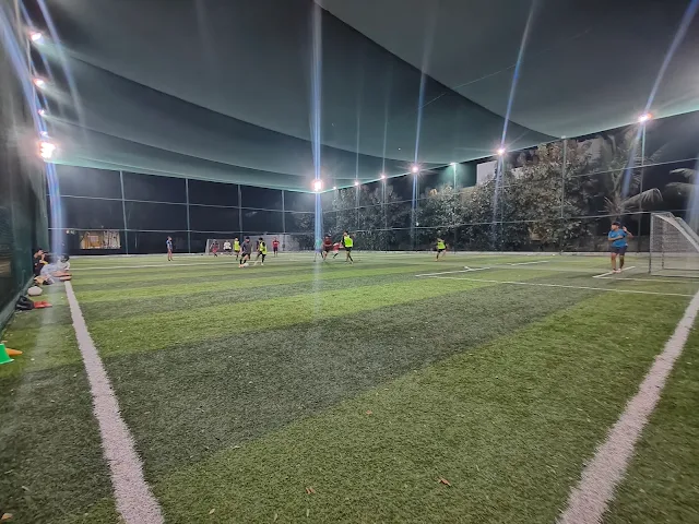 Turf photo 5