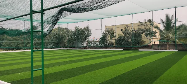 Turf photo 3