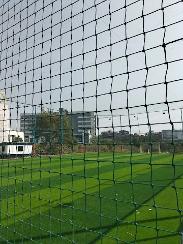 Turf photo 2