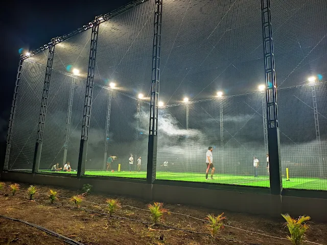 Turf photo 2