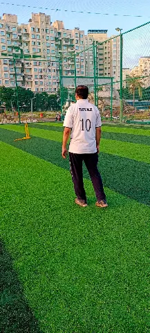 Turf photo 5