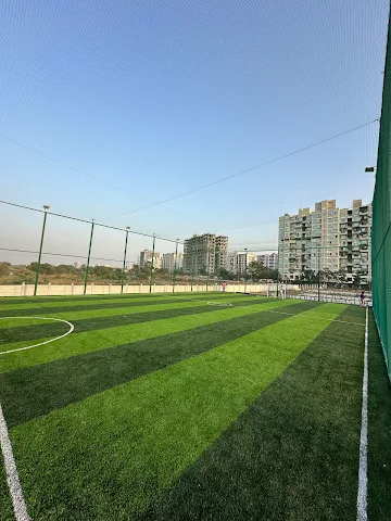 Turf photo 2