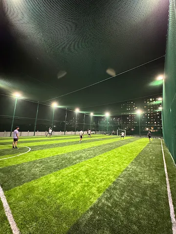 Turf photo 3