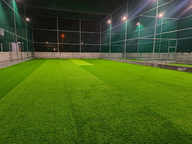 Turf photo 2