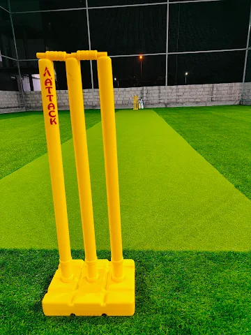 Turf photo 8
