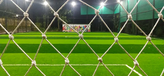 Turf photo 2