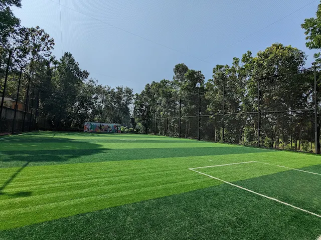 Turf main photo