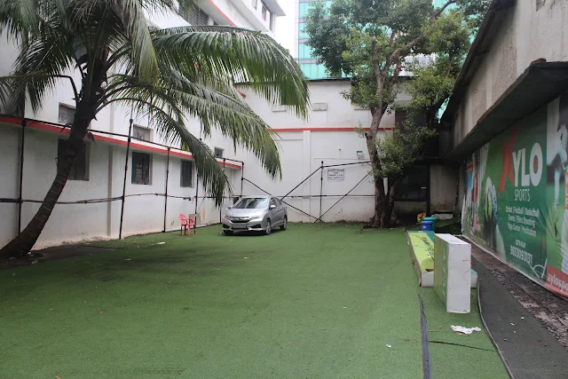 Turf photo 6