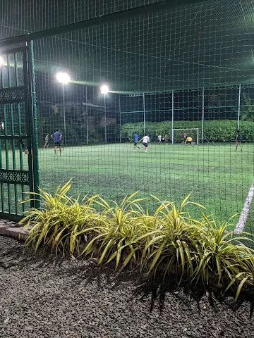 Turf photo 5
