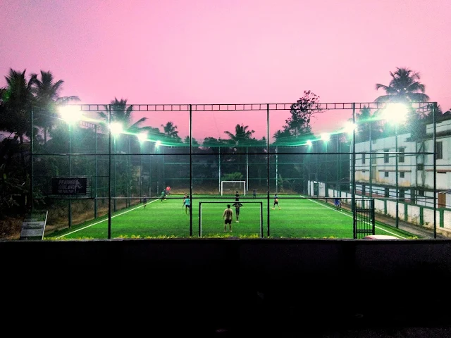 Turf photo 8