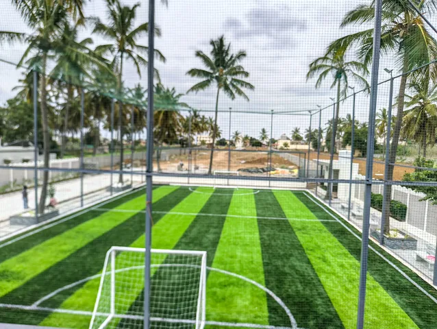 Turf photo 3