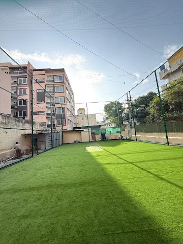 Turf photo 2