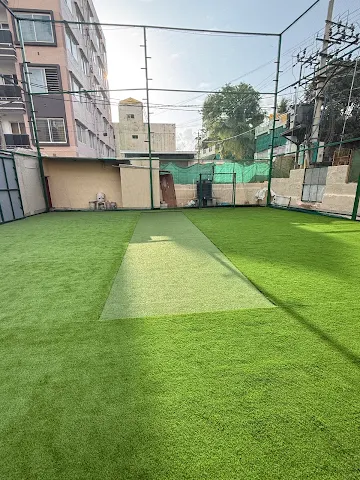 Turf photo 4
