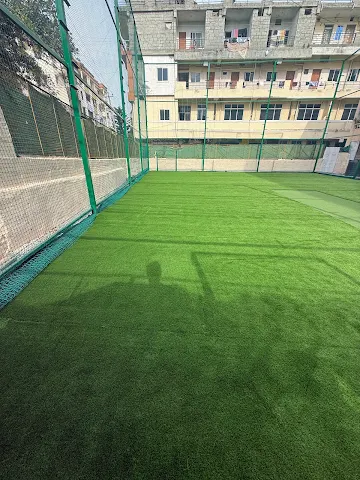 Turf photo 3