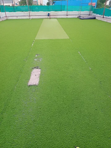 Turf photo 4
