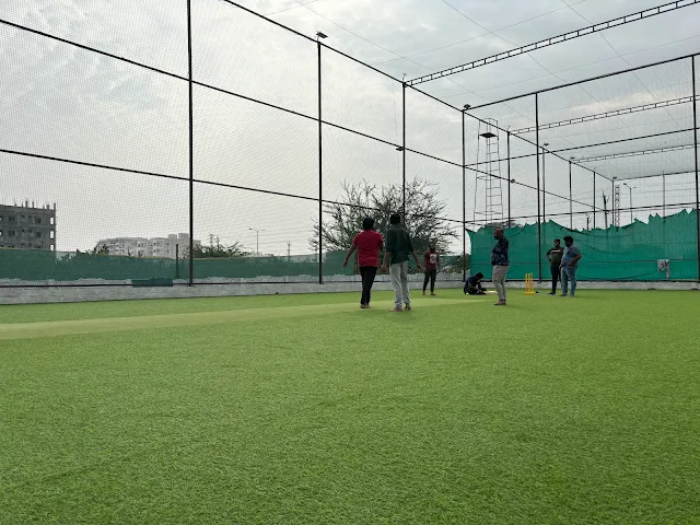 Turf photo 3