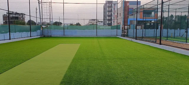 Turf photo 6