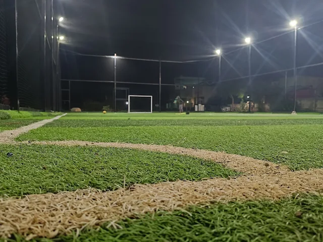 Turf photo 2
