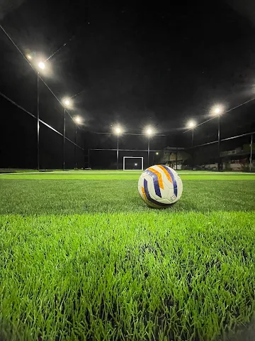 Turf photo 4