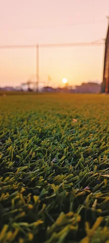 Turf photo 4