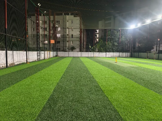 Turf main photo