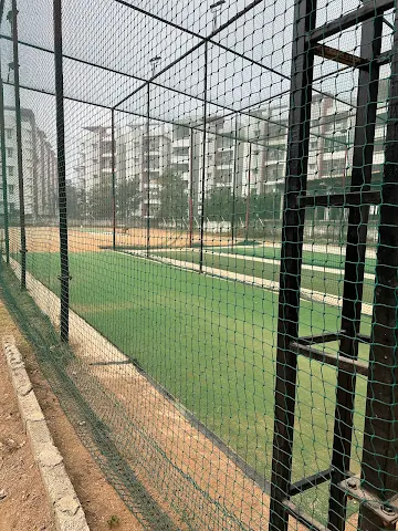 Turf photo 4