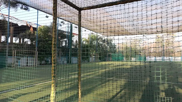 City Turf