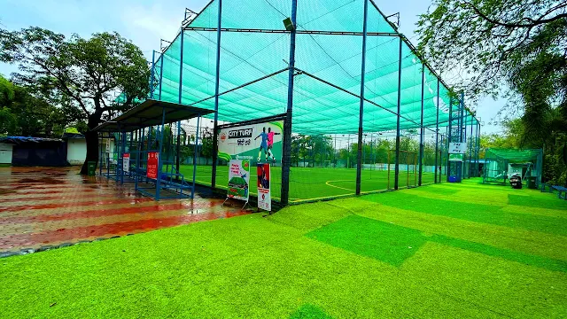 Turf photo 4