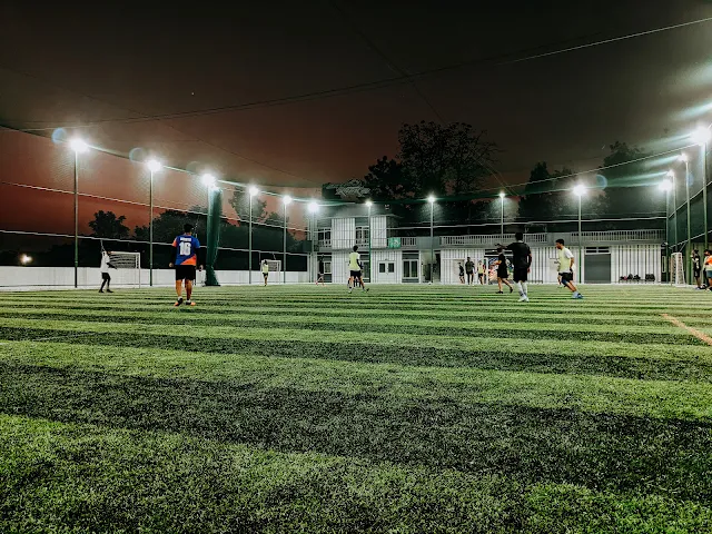 Turf photo 2