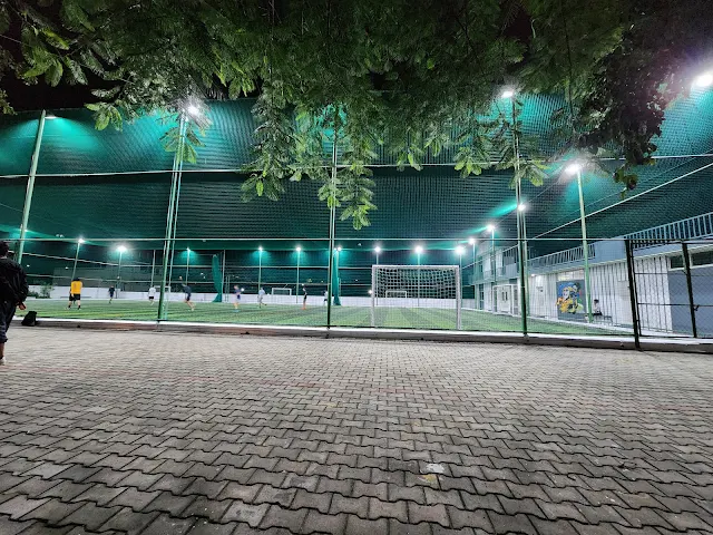 Turf photo 5