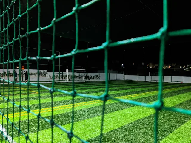 Turf photo 4