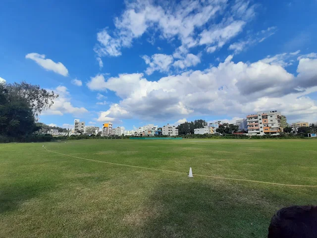 Turf main photo