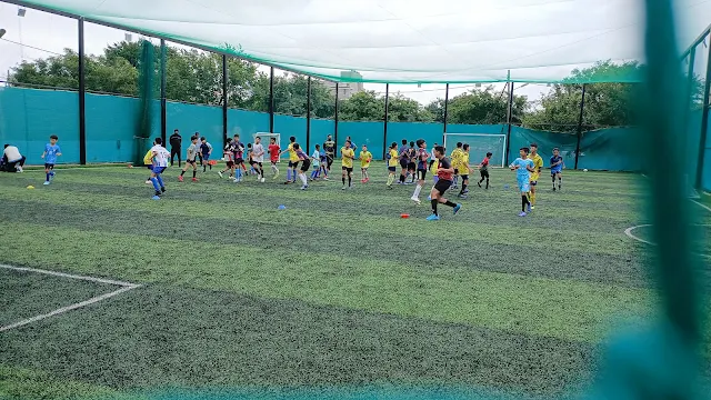 Turf main photo
