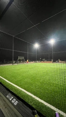 Turf photo 4