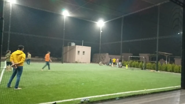 Turf photo 3