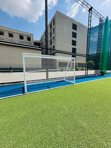 Turf photo 5