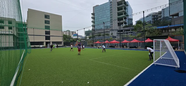 Sportagon DPES Turf