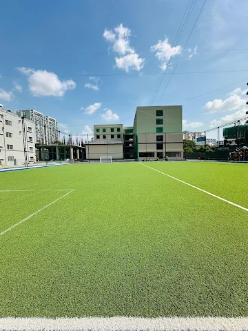 Turf photo 6