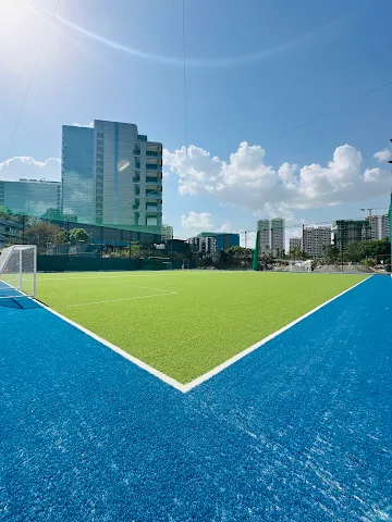 Turf photo 2