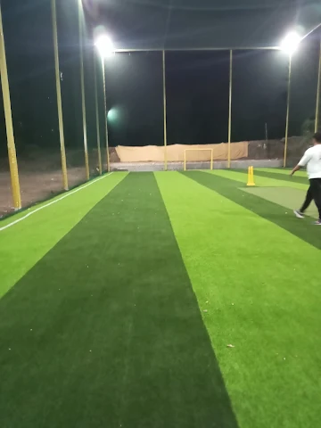Turf photo 3